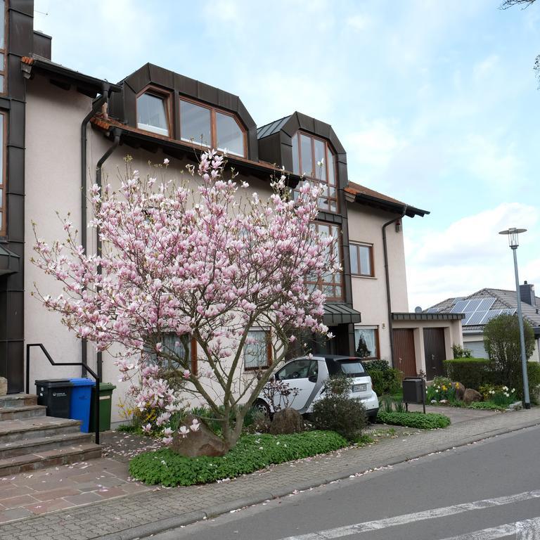 Ferienwohnung Unter Dem Schwalbennest Wachenheim an der Weinstrasse Bagian luar foto